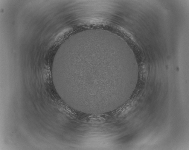 X0000073860918200608101246