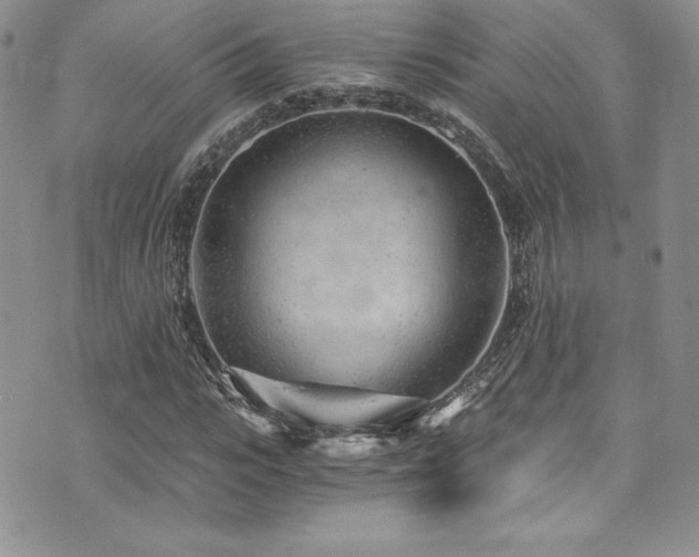 X0000073860919200608101246