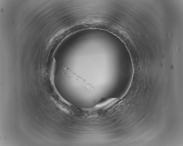 X0000073860920200608101246