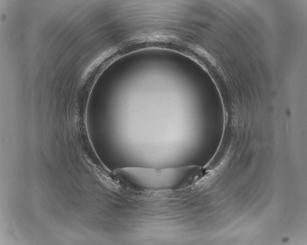 X0000073860922200608101246