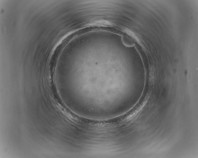 X0000073860923200608101246