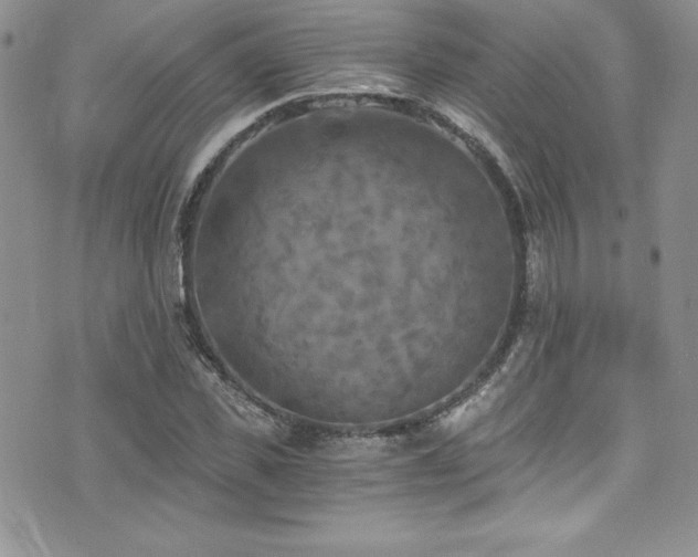 X0000073860925200608101246