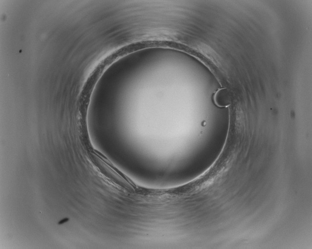 X0000073860926200608101247