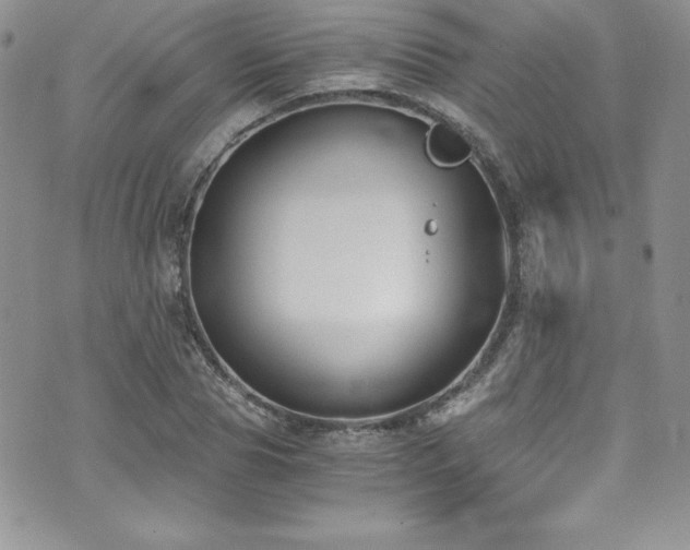 X0000073860929200608101247