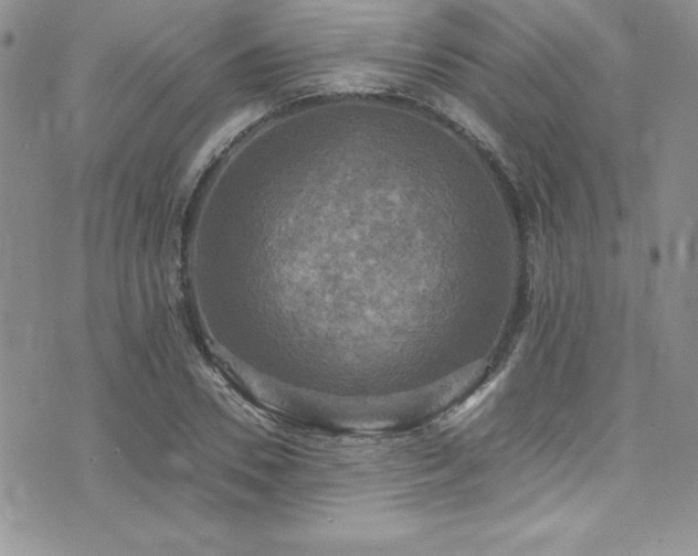 X0000073860930200608101247