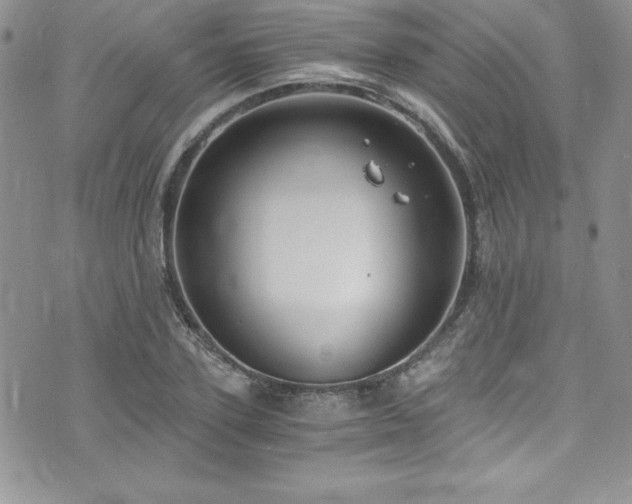 X0000073860931200608101247