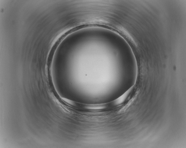 X0000073860932200608101247