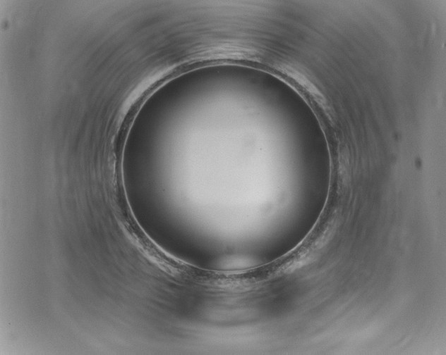 X0000073860933200608101247