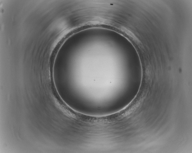 X0000073860934200608101247