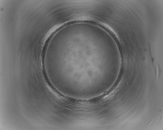 X0000073860935200608101247