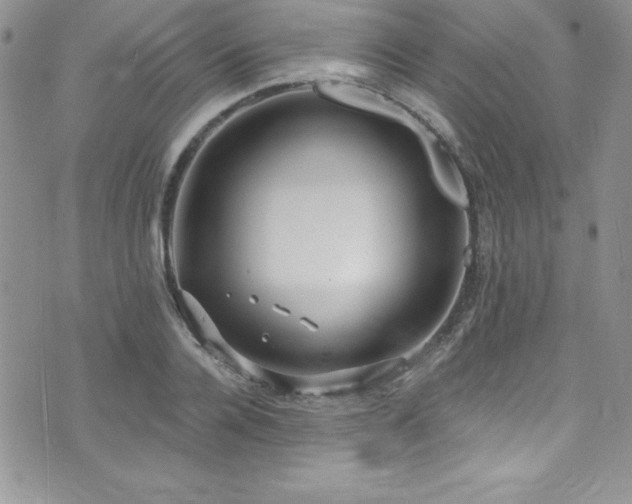 X0000073860936200608101247