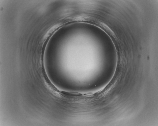 X0000073860938200608101247