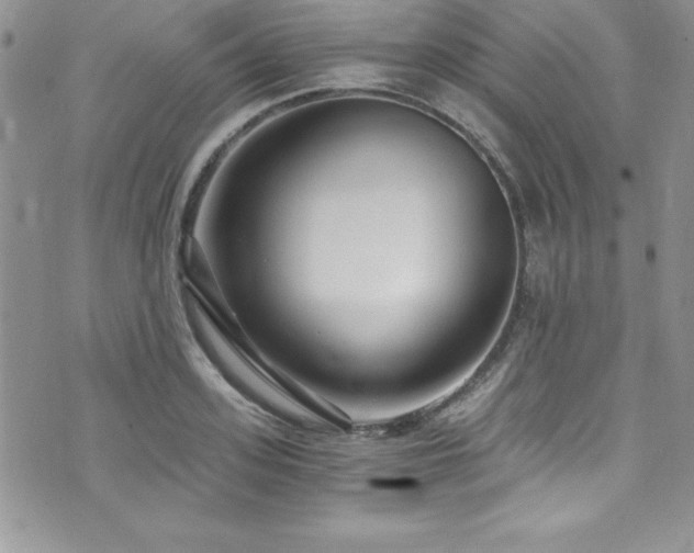 X0000073860939200608101247