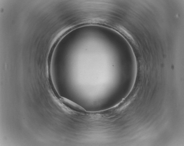 X0000073860940200608101247