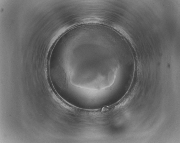 X0000073860941200608101247