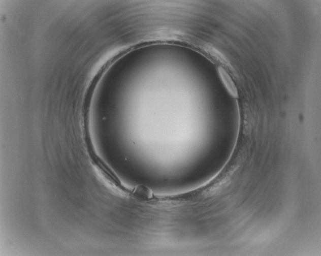 X0000073860942200608101247