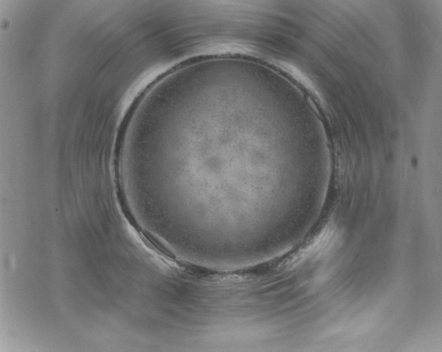 X0000073860943200608101247