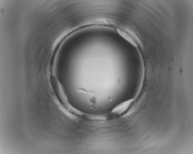 X0000073860944200608101247