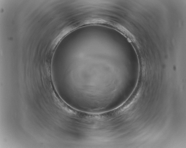 X0000073860945200608101247