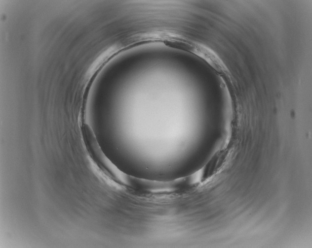 X0000073860946200608101247