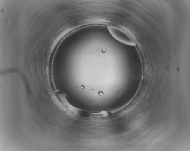 X0000073860947200608101247