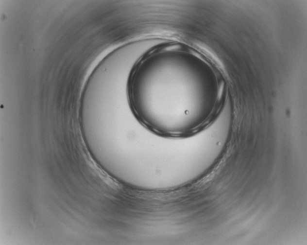 X0000073860948200608101247