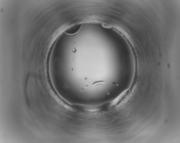 X0000073860949200608101247