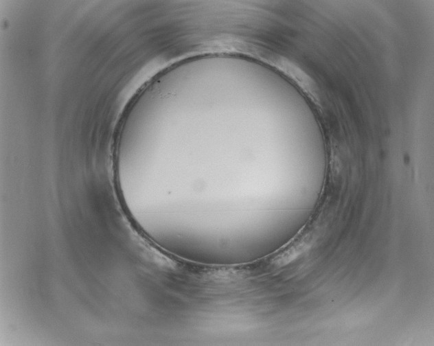 X0000073860950200608101247