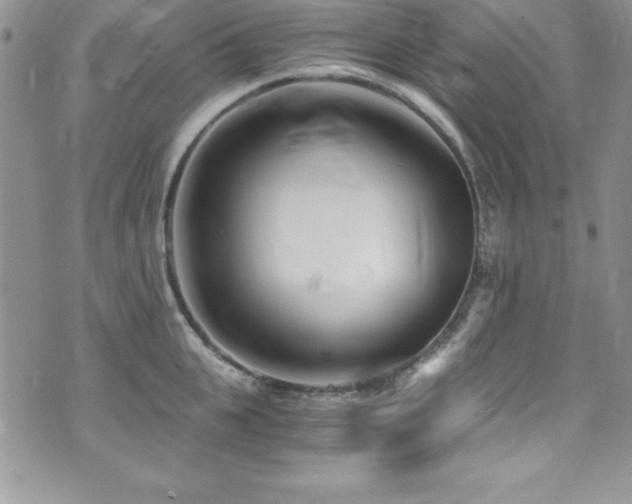 X0000073860951200608101247