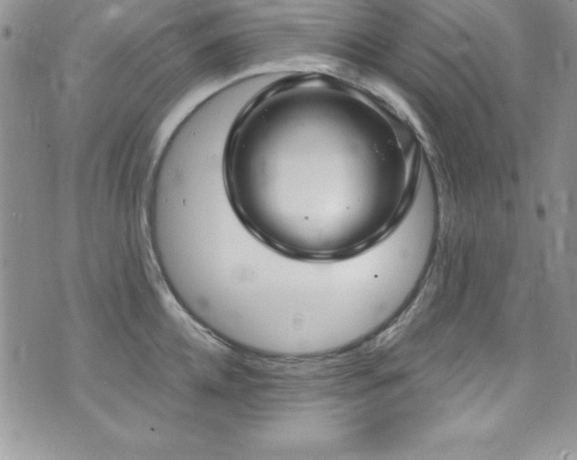 X0000073860952200608101247