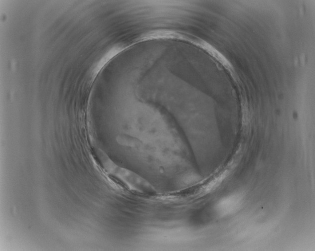 X0000073860953200608101247