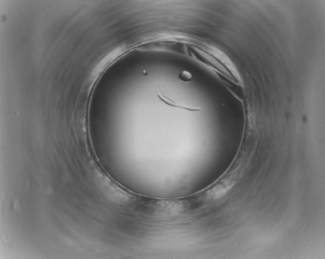 X0000073860954200608101247