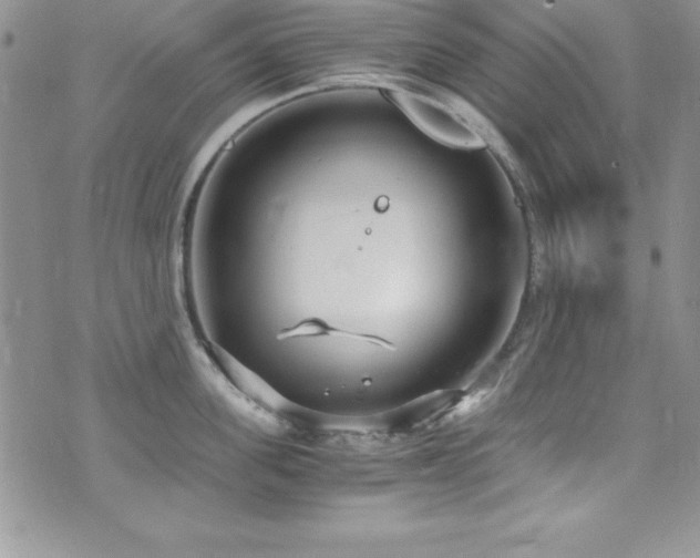 X0000073860955200608101247