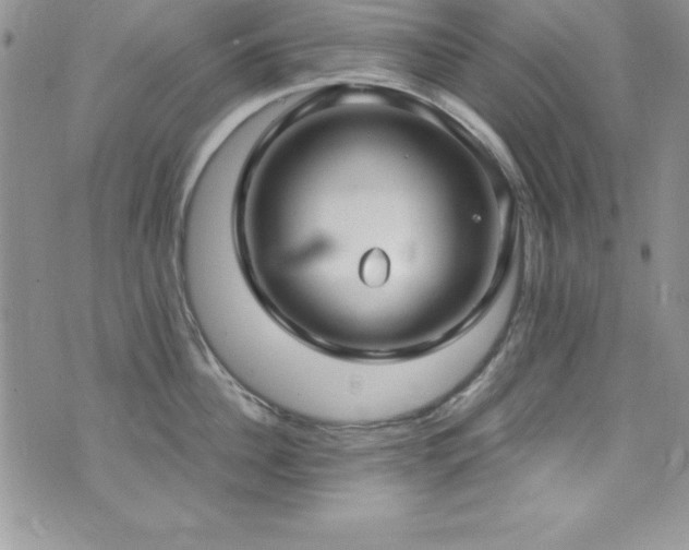 X0000073860956200608101247