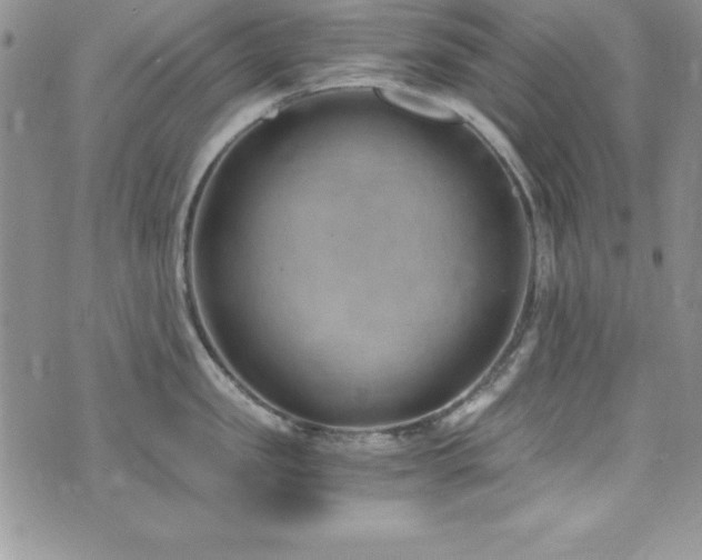 X0000073860957200608101247