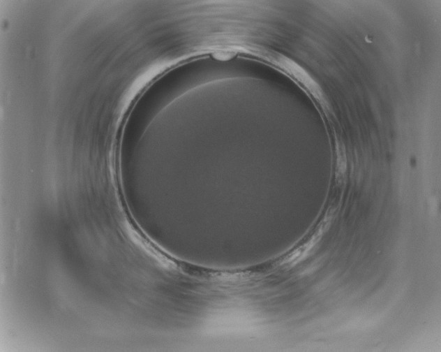 X0000073860958200608101247