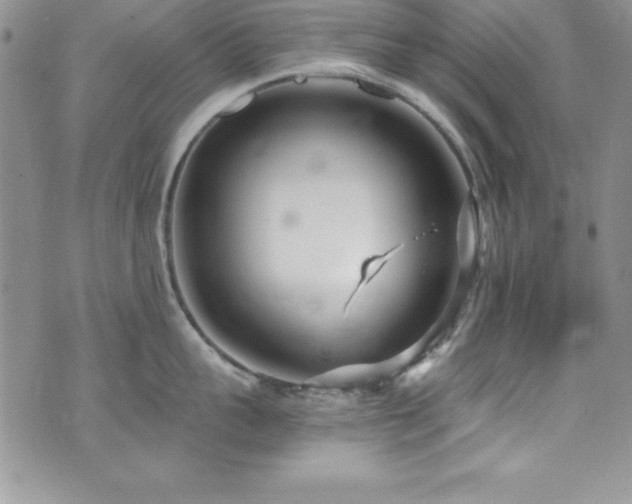 X0000073860959200608101247