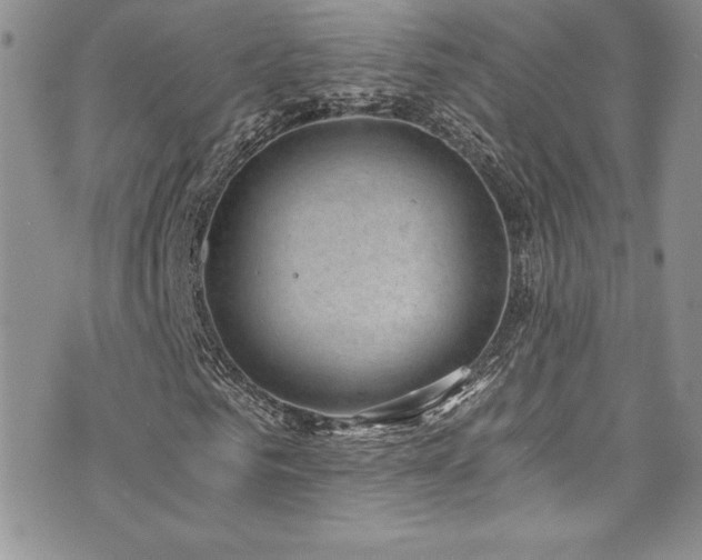 X0000073860961200608101246