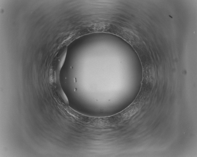 X0000073860962200608101246