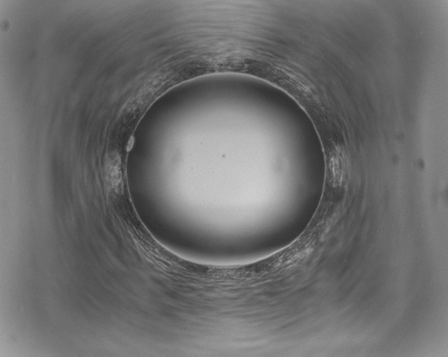 X0000073860963200608101246