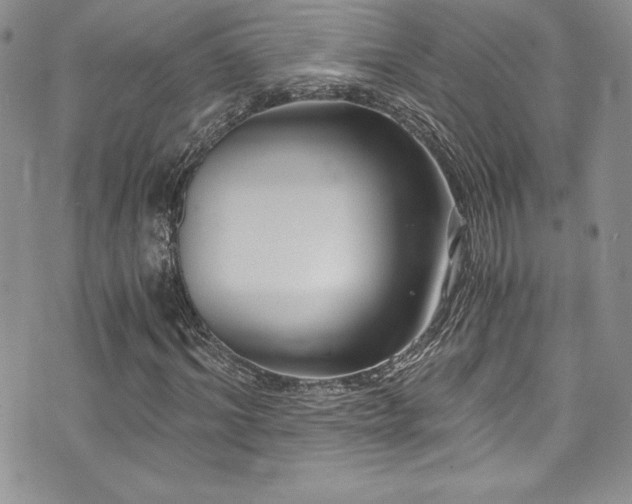 X0000073860964200608101246