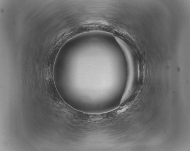 X0000073860965200608101246