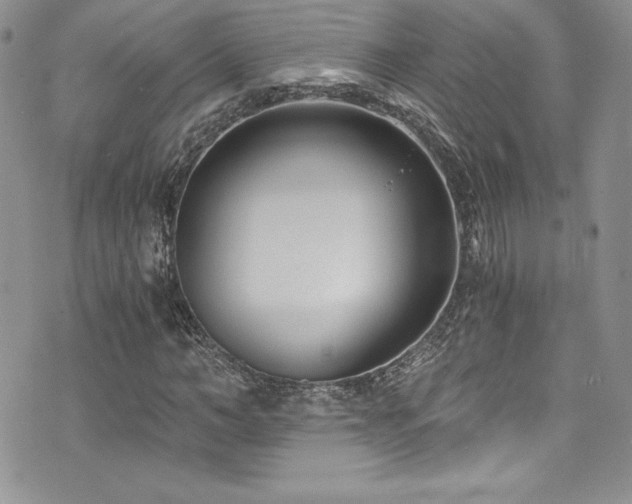 X0000073860966200608101246