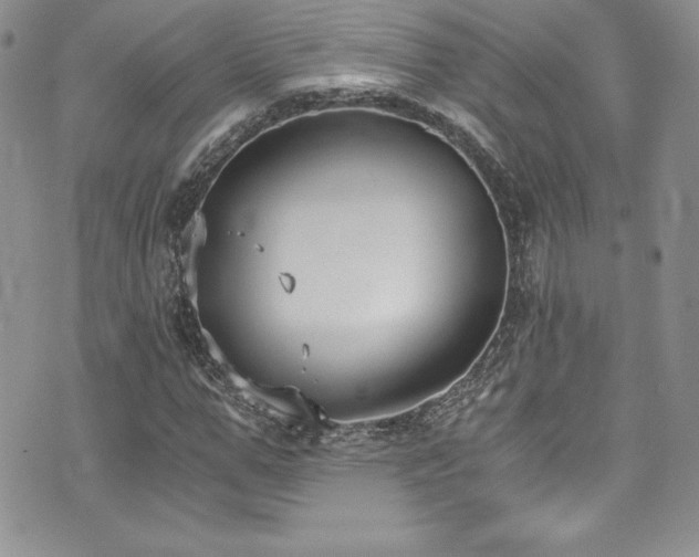 X0000073860967200608101246