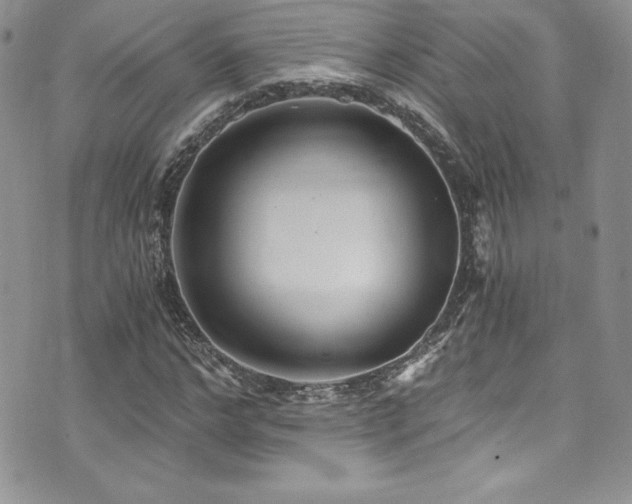 X0000073860968200608101246