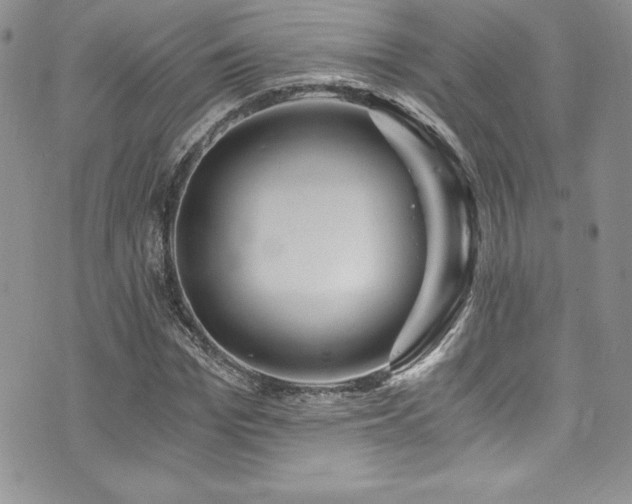 X0000073860969200608101246