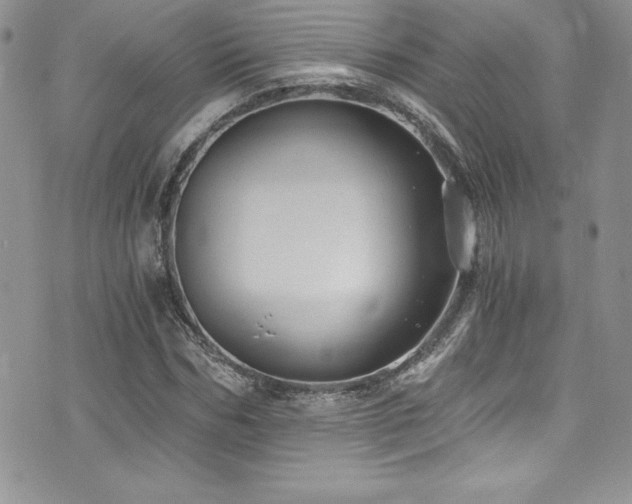 X0000073860970200608101246