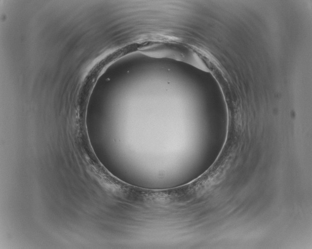 X0000073860971200608101246