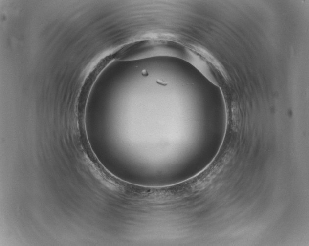 X0000073860972200608101246