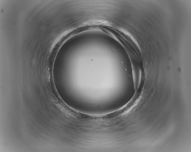 X0000073860973200608101246